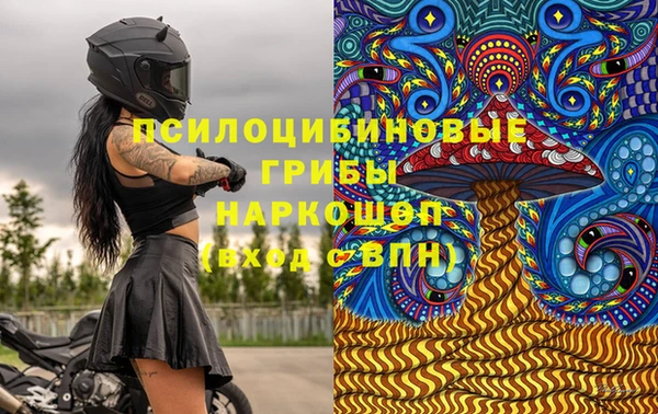 скорость Зеленодольск