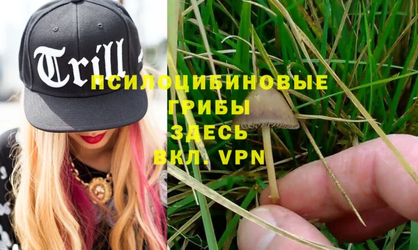 MESCALINE Зерноград